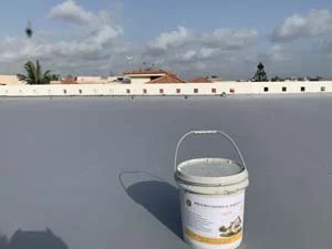 Roof Leakage Repair